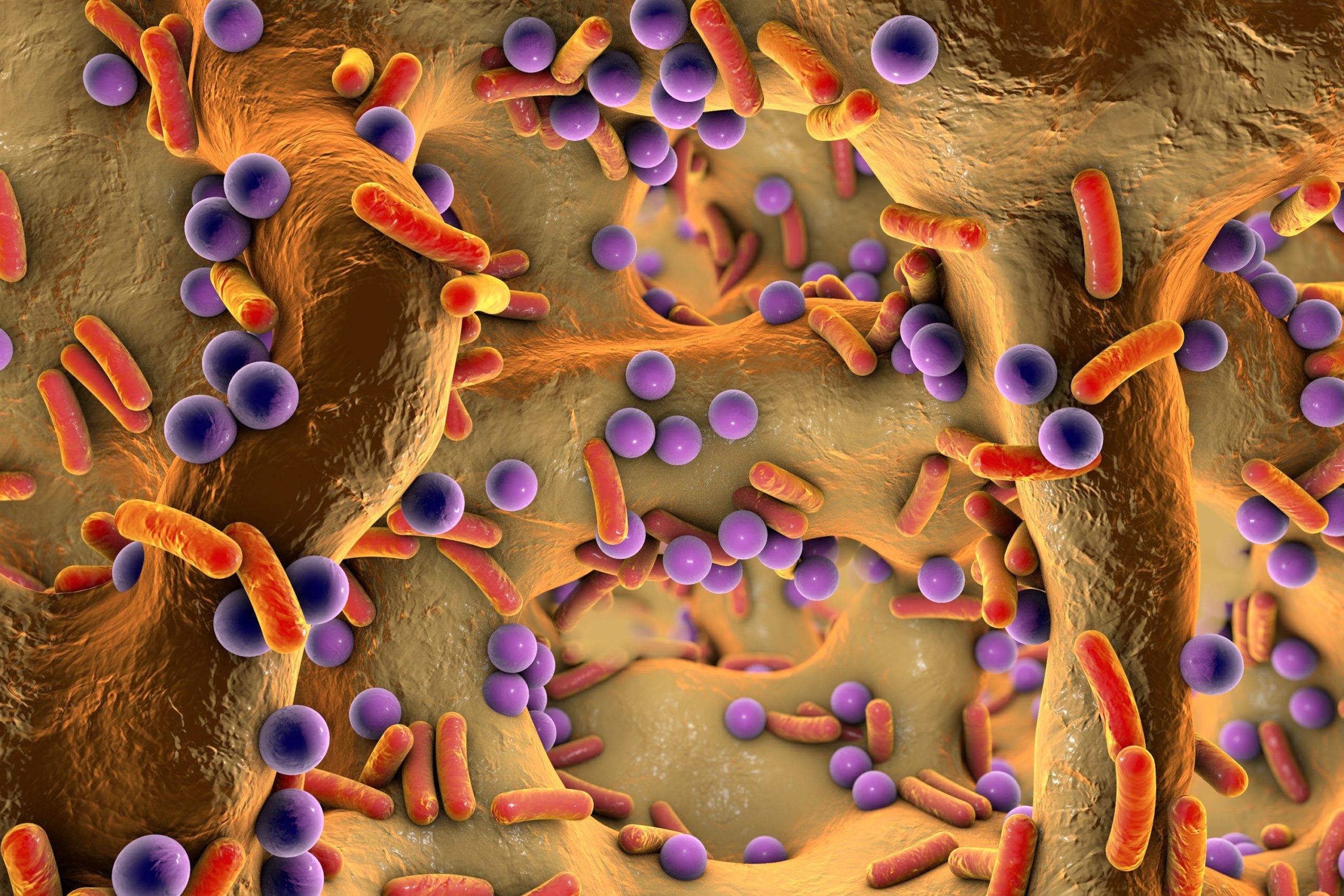 Otitis Externa CPD Portal